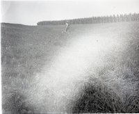 Farmer Stands in a Pasture Close to Corn Ffield