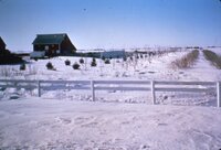 1987 Trees and grasses being planted
