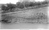 Kansan till, loess and Wisconsin till, Cass Township, Iowa, July 18, 1924