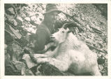 Prof. Albrecht with goat collected for expedition in Washington state, The University of Iowa, 1920