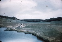 Mortensen Dam.