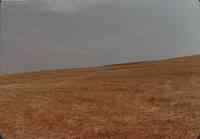 H. Tooker Structure site