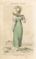 Walking dress