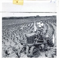 Before and after views of County farm, 1948