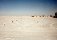1990's  Windbreak built by Dean Vantiger