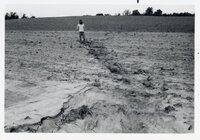 Man stands in dry field
