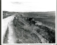 Bridge over gully connecting road and field. 