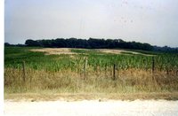 Dry conditions, 2001