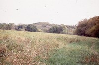 Lundquist farm pond and wildlife areas.