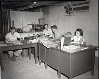 Three Working Men and One Woman Sit at Desks in an Office