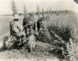 Horse-drawn mower, 1905