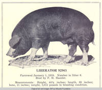 Liberator 92965