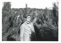 Don Schwenke inspecting his eight-year-old evergreens, 1965