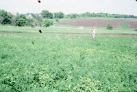 1986 Shirtless man in field