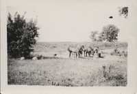 Floyd Caylor farm.