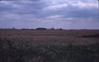 Larry Braby's Farm Before and After a Wetland Construction Project.