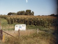 No-Till Plot Sign in Cornfield