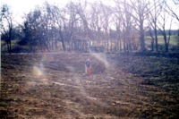 Unidentified conservation project 