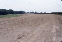 Dirt field with orange post