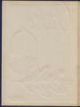 1954Yearbook