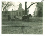 Horse-drawn wagon seeding the east lawn of the Pentacrest in front of Old Capitol, The University of Iowa, 1930
