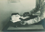 Test with guinea pig, The University of Iowa, ca. 1920