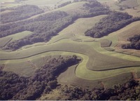 Baasch-K farmland, 1995