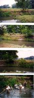 Bob Kremer's land, 2001