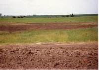 1996  Terraces built by Vera Miller