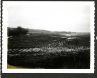 Flooded Field