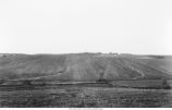 Initial steps in the formation of gulches in loess, Graham Township, Iowa, late 1890s or early 1900s