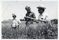 1978 No-till tours