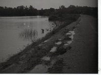 Unidentified Black and White Photo Negatives Showing Rural Scenes
