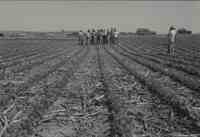No-till farmers hold a meeting in a field