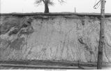Section (3) of Buchanan gravels folded and contorted by the Iowan Ice Sheet in the first Interurban cut, Iowa, late 1890s or early 1900s