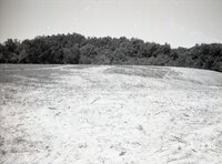 1995 Fields with tire tracks 