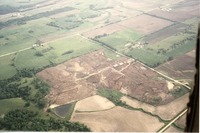 Carstensen feedlot