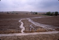 Erosion damage, and waterway needs in a field.