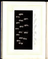 1917 Yearbook