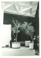 Lobby of Hancher Auditorium, the University of Iowa, 1972