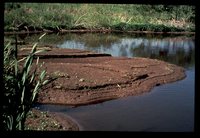 Sediment deposit.