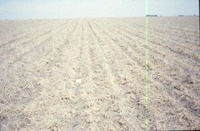 Dry cropland, 1988