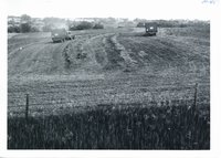 Chopping haylage, 1967