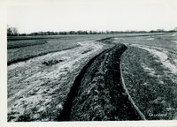Scott estate, 1938