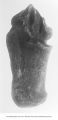 Pleistocene Fauna, large camel calcaneum, Cox Pit, Missouri Valley, Iowa, late 1890s or early 1900s