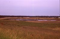 Larry Braby's Farm Before and After a Wetland Construction Project.
