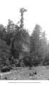 Steamboat Rock at "Devil's Backbone", Dundee, Iowa, late 1890s or early 1900s
