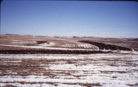 Broad-based terraces on Ed Claus' farm.