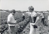 1978 Men on no-till tour