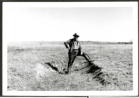 Harry Cadlin Displays a Damaged Area of a Farm Field